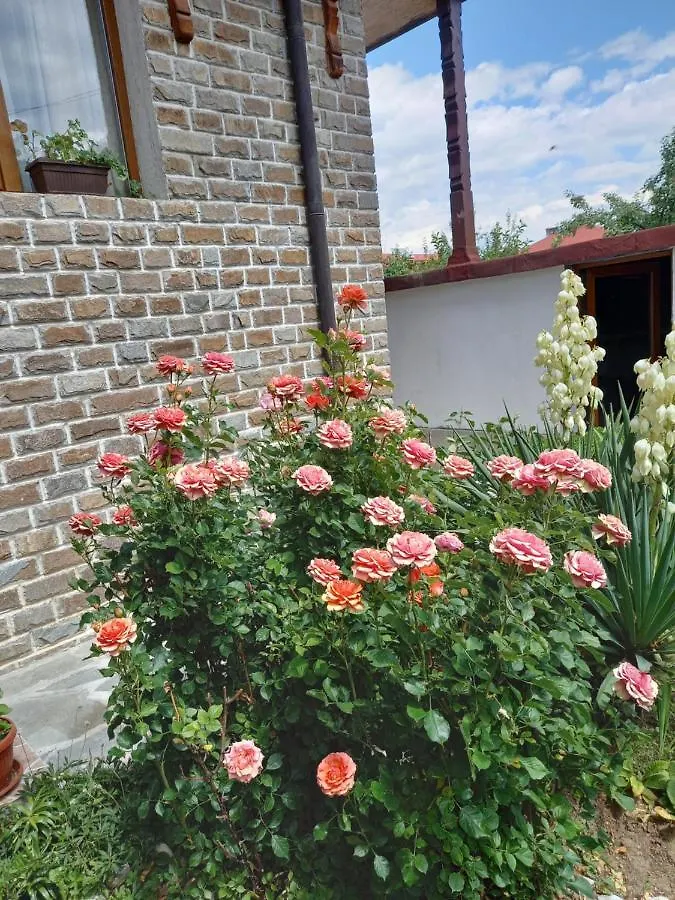 Guest Rooms Bansko Guest house